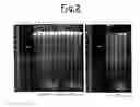 Fig. 03 - Method for the isolation of expressed sequence tags in plants