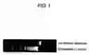 Fig. 02 - Method for isolating and purifying a nucleic acid