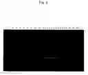 Fig. 07 - Method for detecting mutation and a method for inducing mutation
