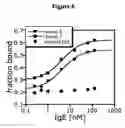 Fig. 06 - Nucleic acid ligands specific to immunoglobulin E and their use as atopic disease therapeutics