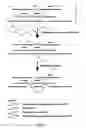 Fig. 02 - Method of treatment of RNA sample