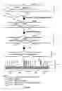Fig. 02 - Microarray analysis of RNA