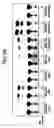 Fig. 07 - Methods and compositions for regulating T cell subsets by modulating transcription factor activity