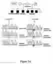 Fig. 08 - Methods and compositions for prenatal diagnosis of mental retardation