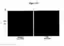 Fig. 23 - mTOR kinase-associated proteins