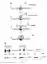 Fig. 02 - Mapping of proteins along chromatin by chromatin cleavage