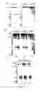 Fig. 04 - Mapping of proteins along chromatin by chromatin cleavage