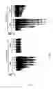 Fig. 06 - Mapping of proteins along chromatin by chromatin cleavage