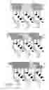 Fig. 02 - Nucleic acid binding polypeptide library