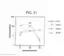 Fig. 32 - Paramyxovirus-derived RNP