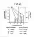 Fig. 43 - Paramyxovirus-derived RNP