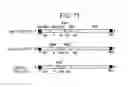 Fig. 72 - Paramyxovirus-derived RNP