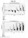 Fig. 95 - Paramyxovirus-derived RNP