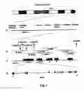 Fig. 02 - Nephrin gene and protein
