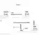 Fig. 02 - Support having selectively bonding substance fixed thereto