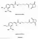 Fig. 07 - Characterising polypeptides