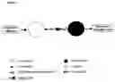 Fig. 02 - OX40R binding agents