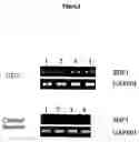 Fig. 04 - METHODS FOR SHP1 MEDIATED NEUROPROTECTION