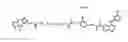 Fig. 01 - Kinase-directed, activity-based probes