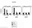 Fig. 04 - Compositions for modulating immune cell activity and methods for detection thereof