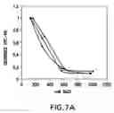 Fig. 10 - Synthetic heparanase molecules and uses thereof