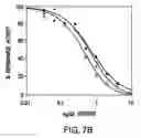 Fig. 11 - Synthetic heparanase molecules and uses thereof
