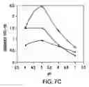Fig. 12 - Synthetic heparanase molecules and uses thereof