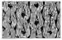 Fig. 01 - Cleanroom wiper