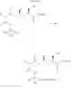 Fig. 722 - Cellular accumulation of phosphonate analogs of hiv protease inhibitor compounds