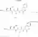 Fig. 749 - Cellular accumulation of phosphonate analogs of hiv protease inhibitor compounds