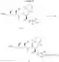 Fig. 751 - Cellular accumulation of phosphonate analogs of hiv protease inhibitor compounds