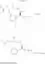 Fig. 976 - Cellular accumulation of phosphonate analogs of hiv protease inhibitor compounds