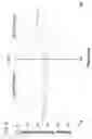Fig. 07 - Method for determining a right intensity of fitness level