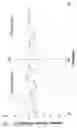 Fig. 09 - Method for determining a right intensity of fitness level