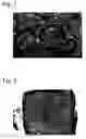Fig. 02 - Structural body constituted of biocompatible material impregnated with fine bone dust and process for producing the same