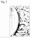 Fig. 06 - Structural body constituted of biocompatible material impregnated with fine bone dust and process for producing the same