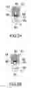 Fig. 03 - Diaphragm-type carburetors