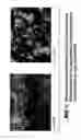 Fig. 02 - Method for producing an si3n4 coated sio2 molded body