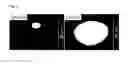 Fig. 06 - Optical device and method of manufacturing the same