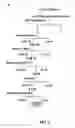 Fig. 02 - Endoribonuclease and uses thereof