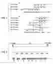 Fig. 02 - Chondroitin polymerase and DNA encoding the same