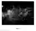 Fig. 02 - Spectral imaging