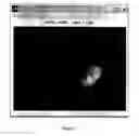 Fig. 04 - Spectral imaging