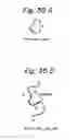 Fig. 34 - Method and apparatus for extracting and evaluating mutually similar portions in one-dimensional sequences in molecules and/or three-dimensional structures of molecules