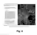Fig. 05 - Structured documents and systems, methods and computer programs for creating, producing and displaying three dimensional objects and other related information in those structured documents