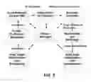 Fig. 06 - Structured documents and systems, methods and computer programs for creating, producing and displaying three dimensional objects and other related information in those structured documents