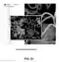 Fig. 18 - Structured documents and systems, methods and computer programs for creating, producing and displaying three dimensional objects and other related information in those structured documents
