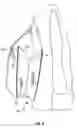 Fig. 06 - Backpack with expandable area