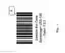 Fig. 02 - Virtual barcodes