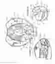 Fig. 09 - Spout cover